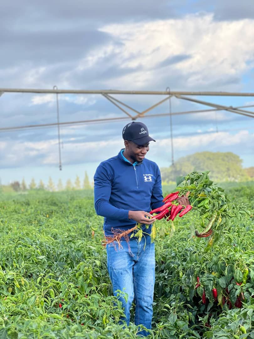 farmer